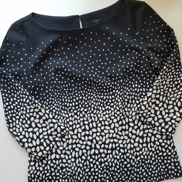 Ann Taylor Navy Dot Blouse - Picture 5 of 5